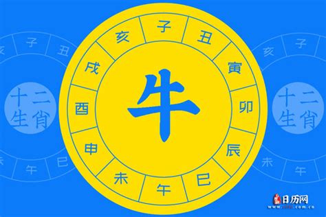 牛五行属什么